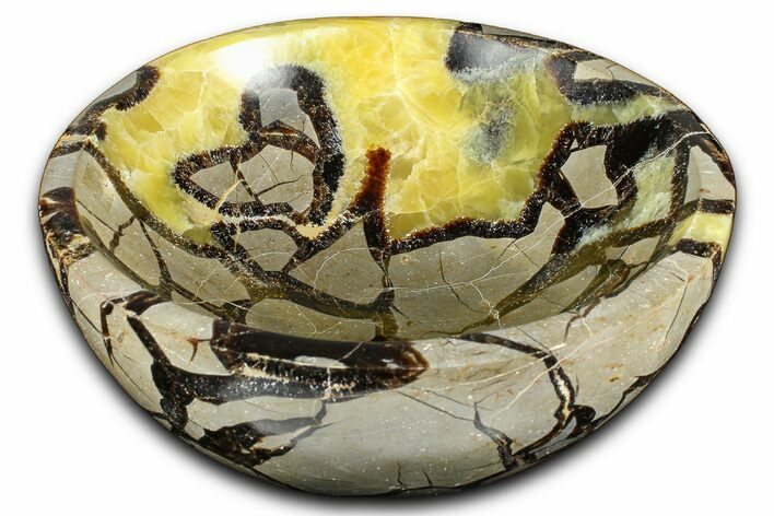 Eye-Eatching Polished Septarian Dish - Madagascar #371704